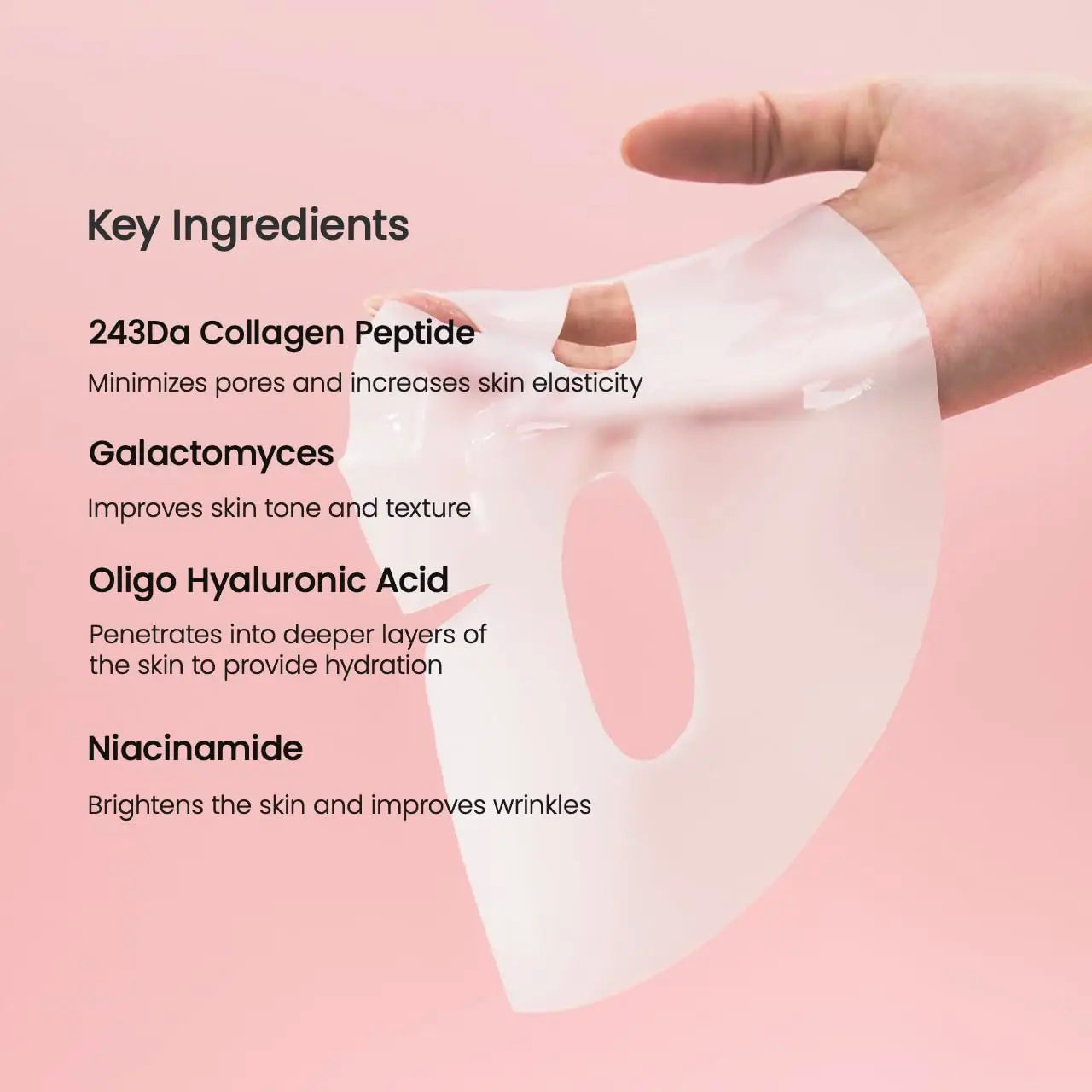 BIODANCE Bio-Collagen Gel-Maske | Über-Nacht-Pflege für straffe Haut NOOR08